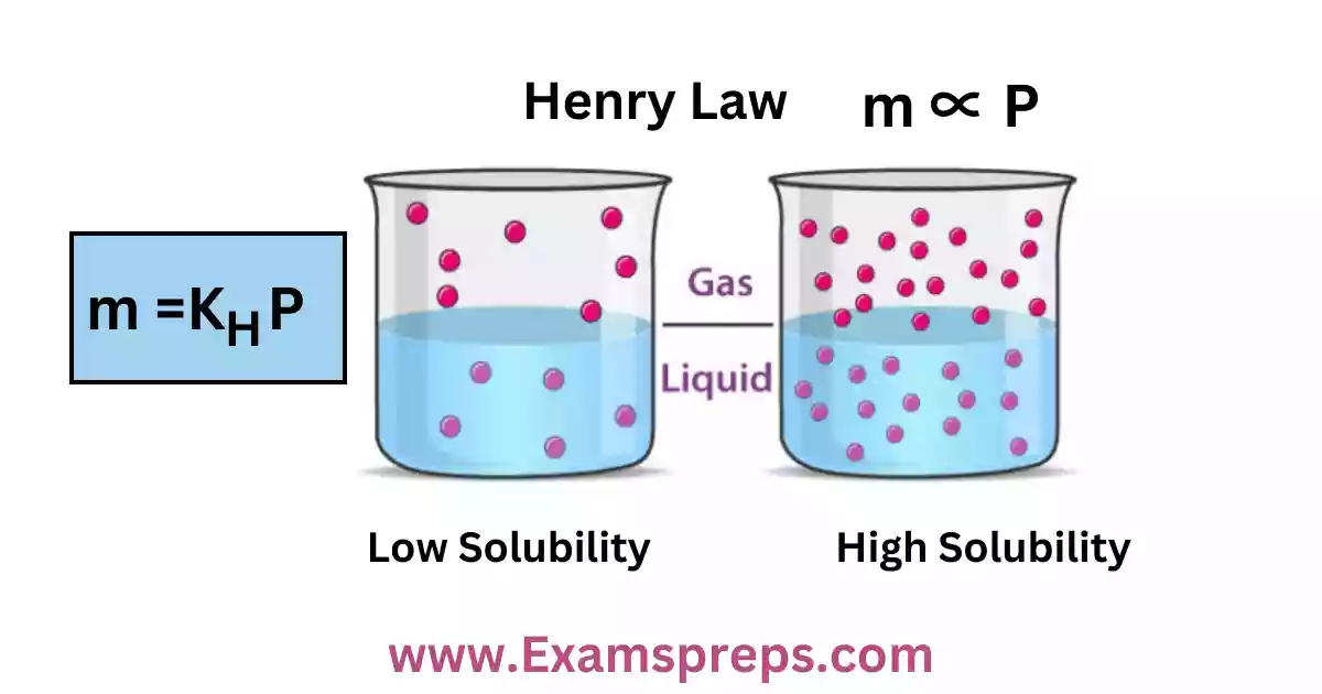 हेनरी का नियम क्या है इसकी सीमाएं बताइए? || Henry Law Class 12